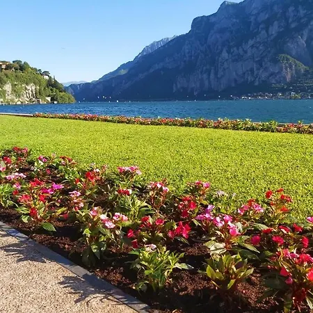 Happy House * מלגראטה